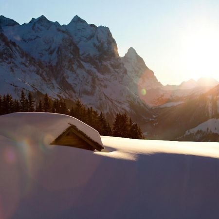 Victoria - Alpine Boutique Hotel & Fine Dining Meiringen Eksteriør bilde