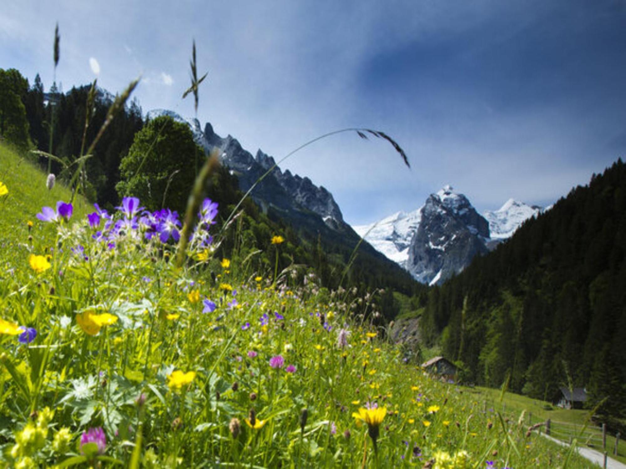 Victoria - Alpine Boutique Hotel & Fine Dining Meiringen Eksteriør bilde